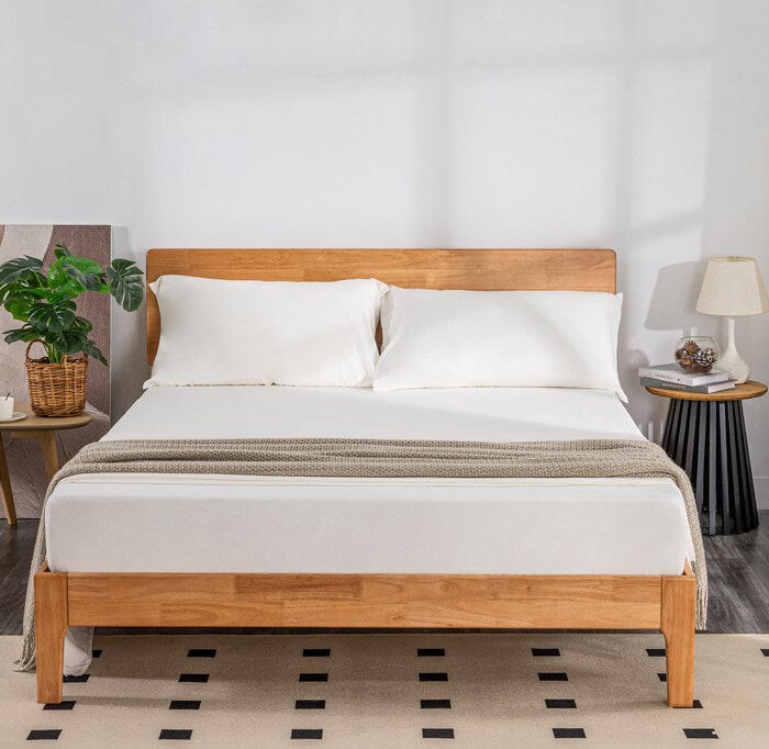 Soft Washed Sheet Set Twin XL - White