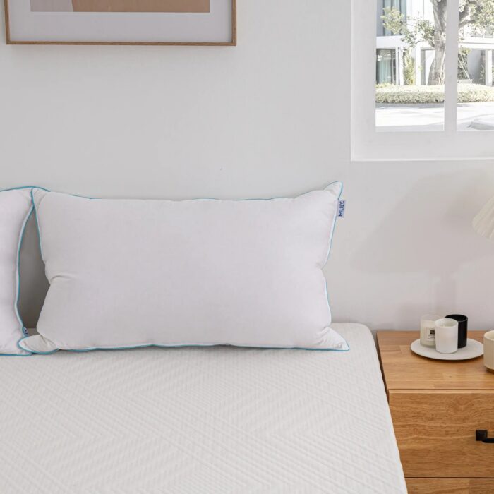 Soft Washed Down Pillow
