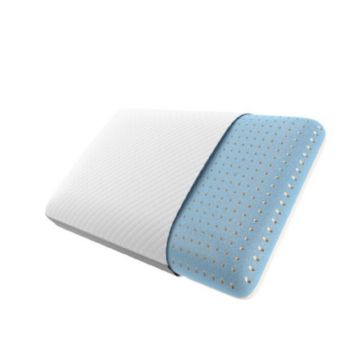 Beautyrest Absolute Relaxation Pillow Queen