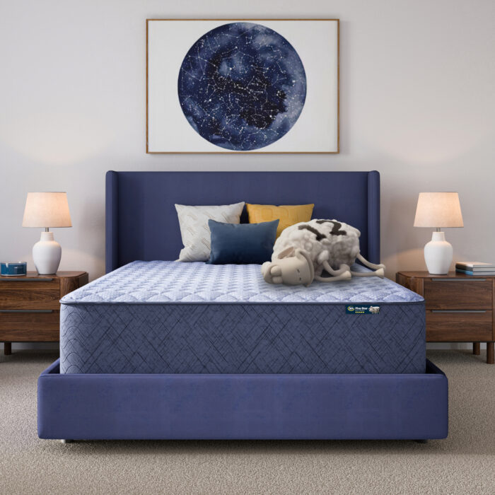 Serta Perfect Day 14" Firm Mattress in a Box