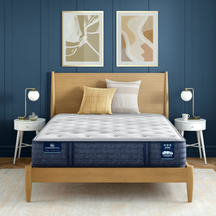 Serta iComfortPro Chelsea 12" Latex Foam Medium Mattress
